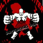 Ultimate Fighter