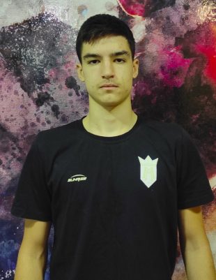 Nikola Sekulić