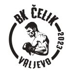 Čelik